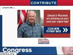 Sites similar to votefitzgerald.com