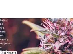 Sites similar to voteyeson97.org