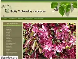 Sites similar to vrmedelynas.lt