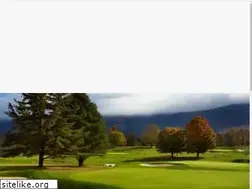 Sites similar to vtga.org