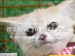 Sites similar to vulpes-zerda.com