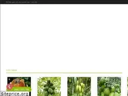 Sites similar to vuondothi.vn