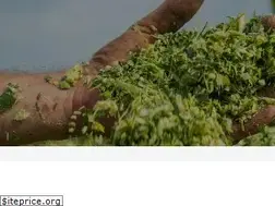 Sites similar to vvs.cz