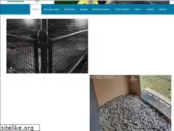 Sites similar to vwggemertslechtvalk.nl