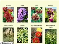 Sites similar to vysniauskugeles.lt