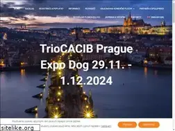 Sites similar to vystavapsu.cz