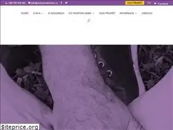 Sites similar to vyzkumrakoviny.cz