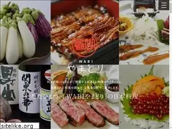 Sites similar to wabi-yamadori.com