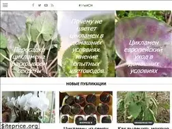 Sites similar to wach.ru