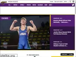 Sites similar to waconiaathletics.com