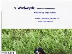 Sites similar to wadweyde.nl