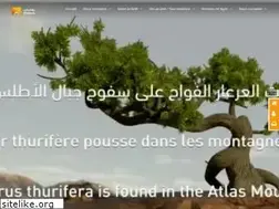 Sites similar to wafabail.ma