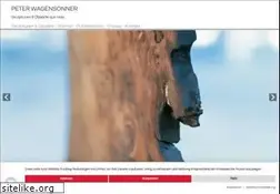 Sites similar to wagensonner.de