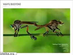 Sites similar to wahyubudiyono.wordpress.com