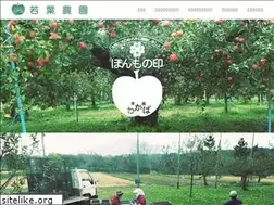 Sites similar to wakaba-rinngo.com