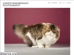 Sites similar to wakabayashihayato.com
