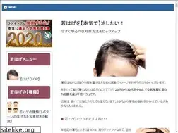 Sites similar to wakahage-kaisyou.com