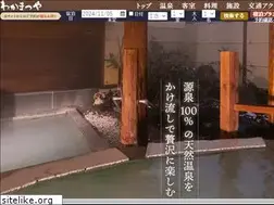 Sites similar to wakamatuya.co.jp