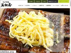 Sites similar to wakamatuya.com