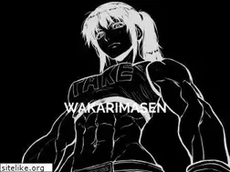Sites similar to wakarimasen.moe