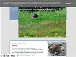 Sites similar to wakayamatakagari.blogspot.com