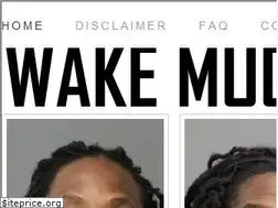 Sites similar to wakemugshots.com