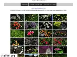 Sites similar to walkietalkieportland.com