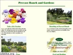 Sites similar to walking-p-bar.com