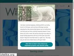 Sites similar to walkingwildrescue.org