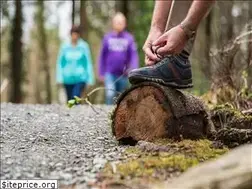 Sites similar to walkni.com