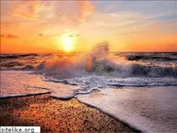Sites similar to walknthetalk.com