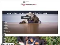 Sites similar to walkthepets.com