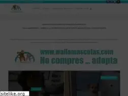 Sites similar to wallamascotas.com