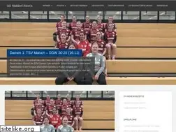 Sites similar to walldorf-handball.de