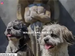 Sites similar to walleeandmickey.com