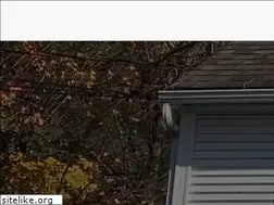 Sites similar to wallensauto.com