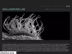 Sites similar to wallingfordlab.org
