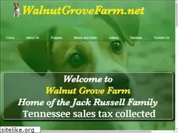Sites similar to walnutgrovefarm.net
