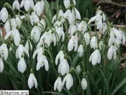 Sites similar to walsinghamabbey.com