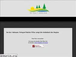 Sites similar to walterfiller.com