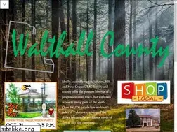 Sites similar to walthallchamber.com