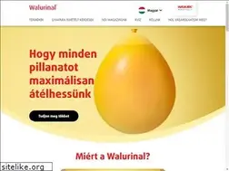 Sites similar to walurinal.hu