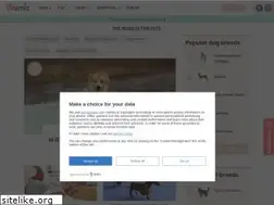 Sites similar to wamiz.co.uk