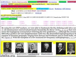 Sites similar to wanclik.free.fr