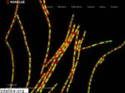 Sites similar to wangxindan.com
