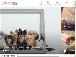 Sites similar to wannya365.jp