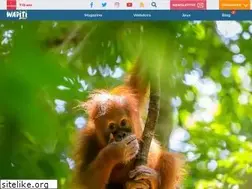 Sites similar to wapiti-magazine.com