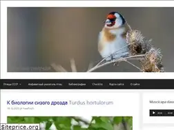 Sites similar to warbler.ru