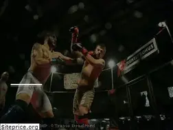 Sites similar to warriorcampfitness.com