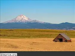 Sites similar to wascorealty411.com